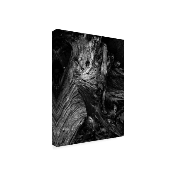 Design Fabrikken 'Black Wood Fabrikken' Canvas Art,18x24